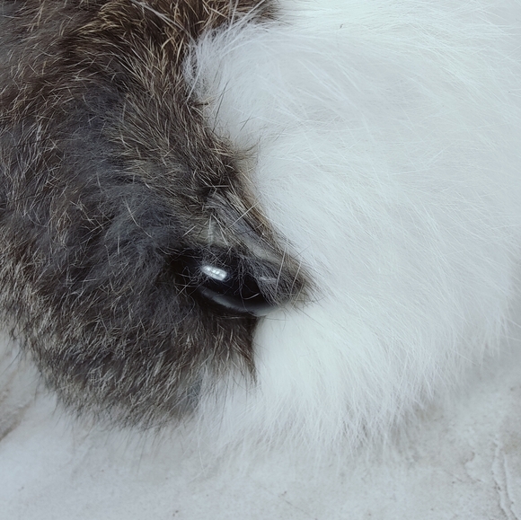 Unbranded Plush Guinea Pig Genuine Rabbit Fur Slippers, Sz M (7-8) - Picture 9 of 10